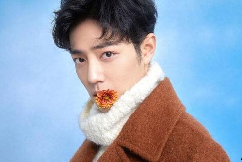 肖战最新真实爆料,娱乐圈背后的真实故事