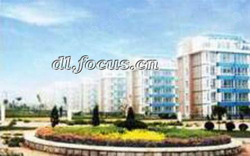 大连奥林最新爆料,揭秘项目进展与未来规划