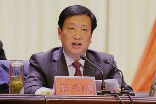 河南冯浩爆料最新消息,揭秘事件背后惊人真相